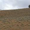 View the image: P1020282_JPG_RH_Ew