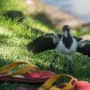 View the image: OLYMPUS DIGITAL CAMERA
