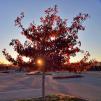 View the image: OLYMPUS DIGITAL CAMERA