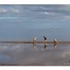 View the image: Olympus OM-D E-M1 MILC