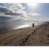 View the image: Olympus OM-D E-M1 MILC