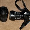View the image: Olympus E-510