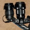 View the image: Olympus E-510