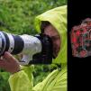 View the image: f4.5_150-400_000113706
