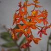 View the image: OLYMPUS DIGITAL CAMERA
