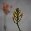 View the image: OLYMPUS DIGITAL CAMERA