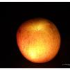 View the image: OLYMPUS E-30