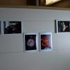 View the image: OLYMPUS DIGITAL CAMERA