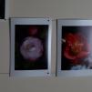 View the image: OLYMPUS DIGITAL CAMERA