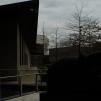 View the image: OLYMPUS DIGITAL CAMERA