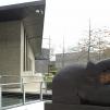 View the image: OLYMPUS DIGITAL CAMERA
