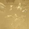 View the image: OLYMPUS DIGITAL CAMERA
