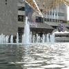 View the image: OLYMPUS DIGITAL CAMERA