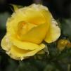 View the image: OLYMPUS DIGITAL CAMERA