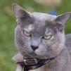 View the image: OLYMPUS DIGITAL CAMERA