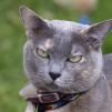 View the image: Lovely Lizzie