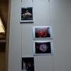 View the image: OLYMPUS DIGITAL CAMERA