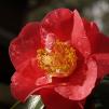 View the image: OLYMPUS DIGITAL CAMERA