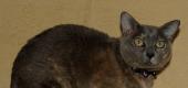 View the Album: Images without EXIF
 4 images