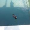 View the image: DSCN1182