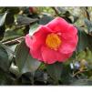 View the image: Olympus OM-D E-M1 MILC