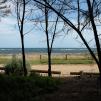View the image: OLYMPUS DIGITAL CAMERA