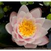 View the image: OLYMPUS E-1