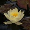 View the image: OLYMPUS DIGITAL CAMERA