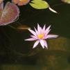 View the image: OLYMPUS DIGITAL CAMERA