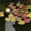 View the image: OLYMPUS DIGITAL CAMERA