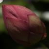 View the image: OLYMPUS DIGITAL CAMERA