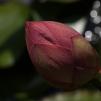 View the image: OLYMPUS DIGITAL CAMERA