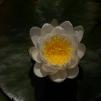 View the image: OLYMPUS DIGITAL CAMERA