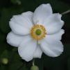 View the image: OLYMPUS DIGITAL CAMERA