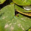 View the image: OLYMPUS DIGITAL CAMERA