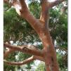 View the image: Olympus E-30