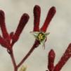 View the image: OLYMPUS DIGITAL CAMERA