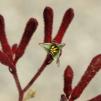 View the image: OLYMPUS DIGITAL CAMERA