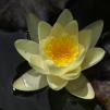 View the image: OLYMPUS DIGITAL CAMERA