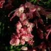 View the image: OLYMPUS DIGITAL CAMERA