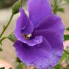 View the image: OLYMPUS DIGITAL CAMERA