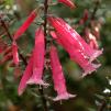 View the image: OLYMPUS DIGITAL CAMERA