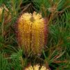 View the image: OLYMPUS DIGITAL CAMERA