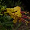 View the image: OLYMPUS DIGITAL CAMERA
