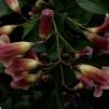 View the image: OLYMPUS DIGITAL CAMERA