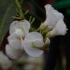 View the image: OLYMPUS DIGITAL CAMERA