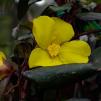 View the image: OLYMPUS DIGITAL CAMERA