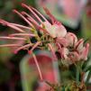 View the image: OLYMPUS DIGITAL CAMERA