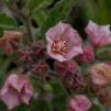 View the image: OLYMPUS DIGITAL CAMERA