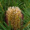 View the image: OLYMPUS DIGITAL CAMERA